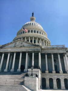 Environmentalism as a Yoga Practice - U.S. Capitol Building